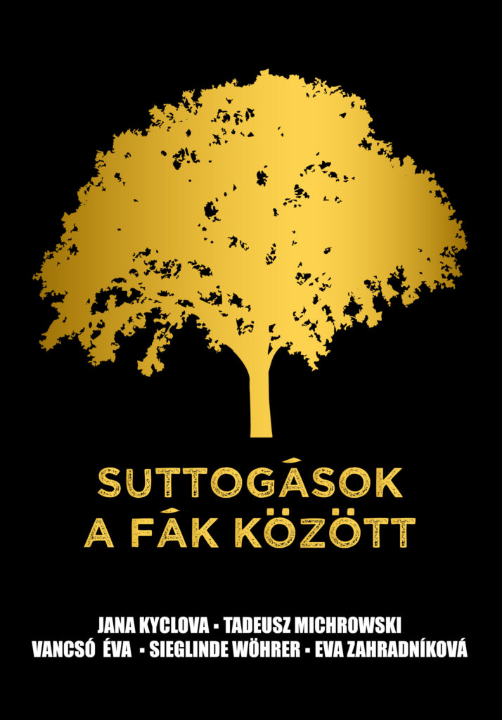 A könyv magyar nyelvű borítója