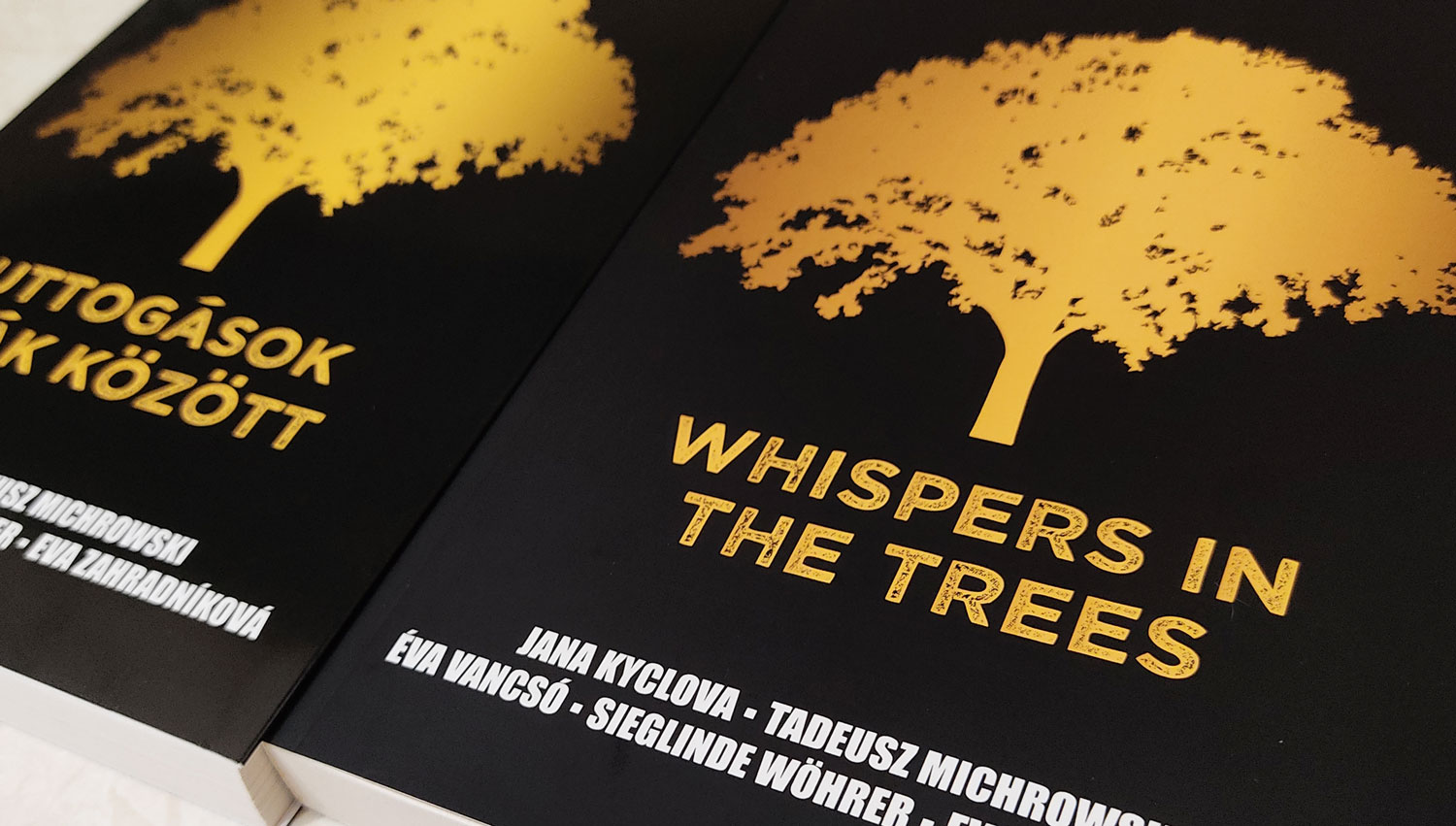 Suttogások a fák között / Whispers in the trees könyvborító